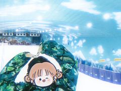 -世界之窗阿尔卑斯冰雪世界