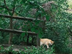 -崂山九水游览区