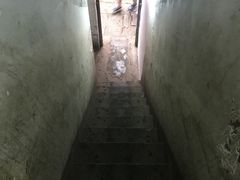 -胡仁根胡记炸炸炸