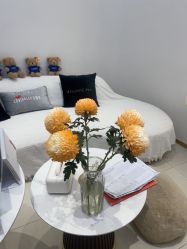 -WENDY·温迪皮肤管理