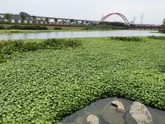 -那考河湿地公园