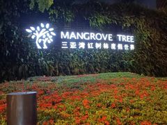 -三亚湾红树林度假酒店美食街