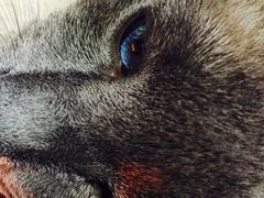 -MIKAKU(万达广场上海宝山店)