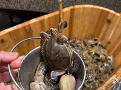 -初色海鲜自助(万丰路店)