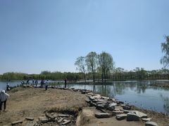 -大兴滨河森林公园