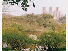 -重庆彩云湖湿地公园