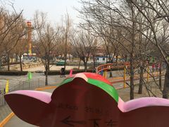 -朝阳公园游乐园
