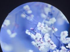 -上足·影院足道·SPA(红岭店)
