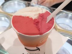 荔枝树莓洛神花-DIP in GELATO(富民路店)