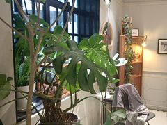 -一尺花园(安和花园店)