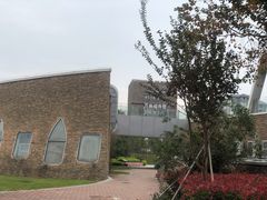 -瑶湖郊野森林公园