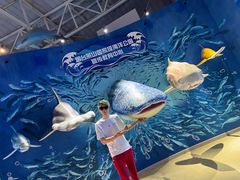 -烟台海昌鲸鲨海洋公园