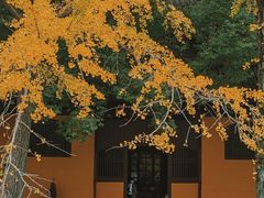 -西园戒幢律寺