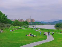 -风云岭森林公园