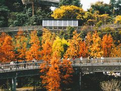 -福道