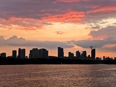 -西山漾湿地公园