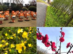 -上海长兴岛郊野公园