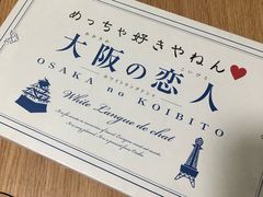 -关西国际机场直营免税店