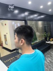 -藤野造型