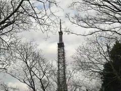 -大蜀山国家森林公园
