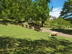 -神户六甲牧场(北野本店)