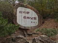 -白水寺森林公园