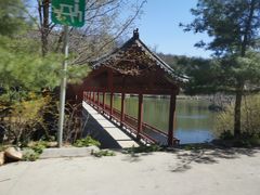 -鲁山国家森林公园