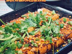 -酒阳蒸经·江湖川菜