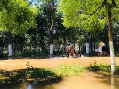 -永定河休闲森林公园