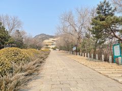 -府君山公园