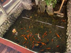 -三道苗苗鱼·美蛙黄辣丁(八里店)