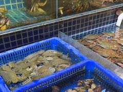 -必点海鲜·鲅鱼水饺(鞍山西道店)