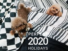 -全心全意连锁动物医院(加州店)