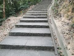-火炉山森林公园