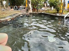 -庐山西海国际温泉度假村