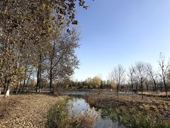 -东郊湿地公园