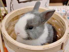 -大象厨房(重庆道店)