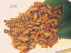 -蝴蝶泉宾馆-中餐厅