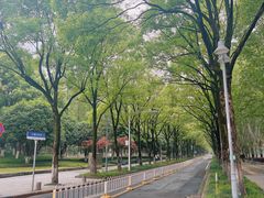 -后襄河公园