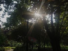 -重庆彩云湖湿地公园