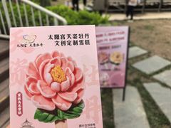 -太阳宫公园