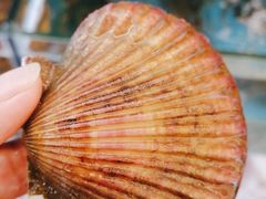 -高佳庄·舟山海鲜(海景旗舰店)