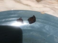 -艾米茉亲子餐厅(万象城店)