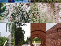 -老君堂公园