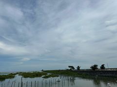 -北海金海湾红树林生态旅游区