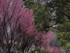 -月湖风景区