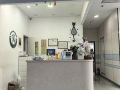 -中农国际动物医院24小时·猫科·骨科·急重症中心