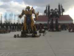 -上海长兴岛郊野公园