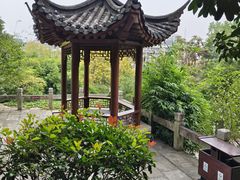 -黄鹤楼