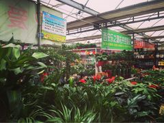 -秦美花卉(天朗·莱茵小城2期店)